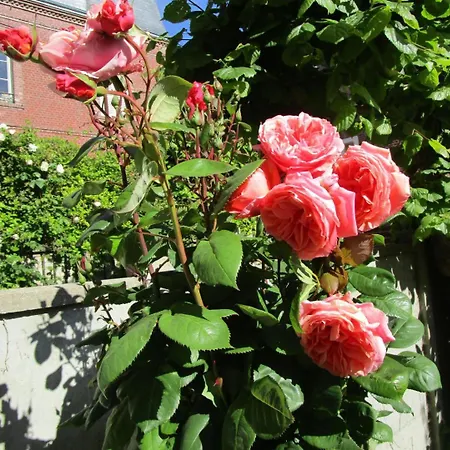 G9213 Feriehus *